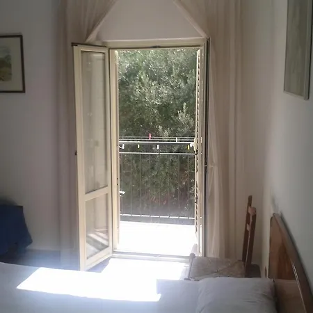 Ulivo * Melito Di Porto Salvo