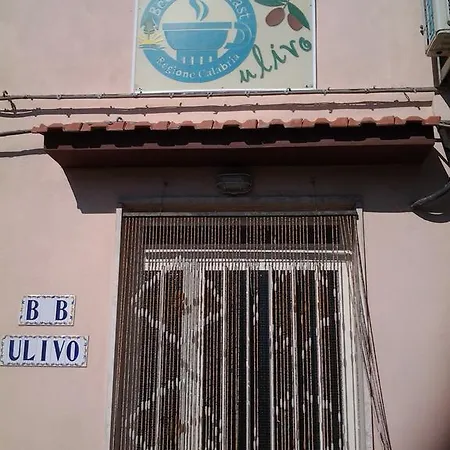 Ulivo *