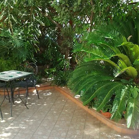 Ulivo